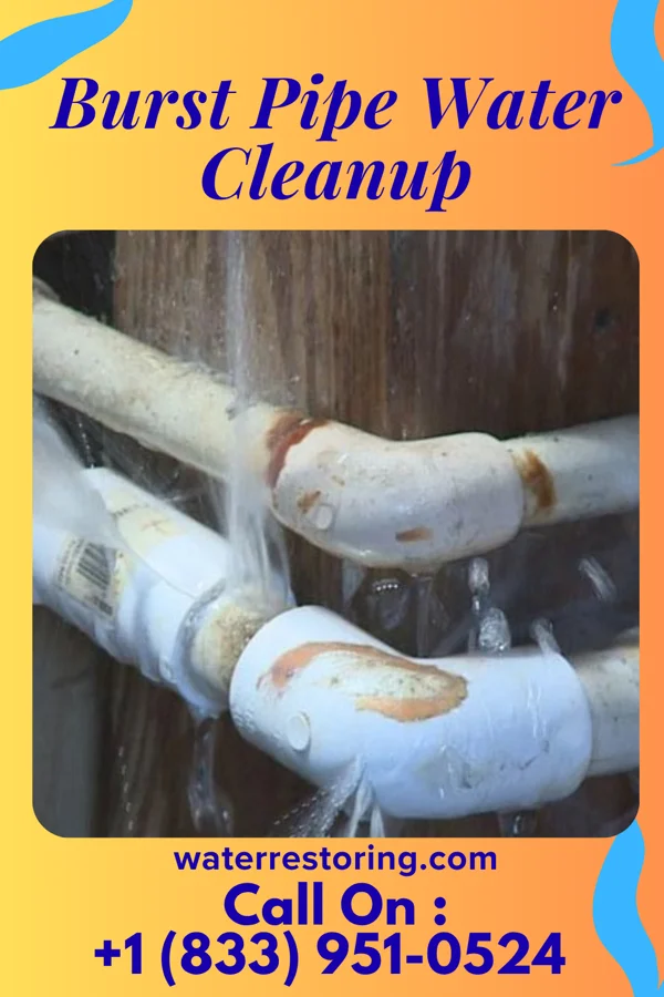 Burst Pipe Water Cleanup in Lansford, PA