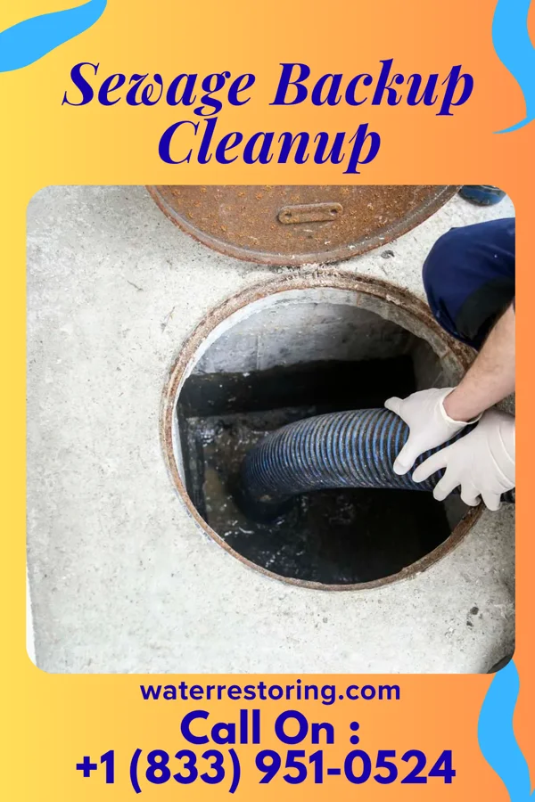 Sewage Backup Cleanup in Lansford, PA