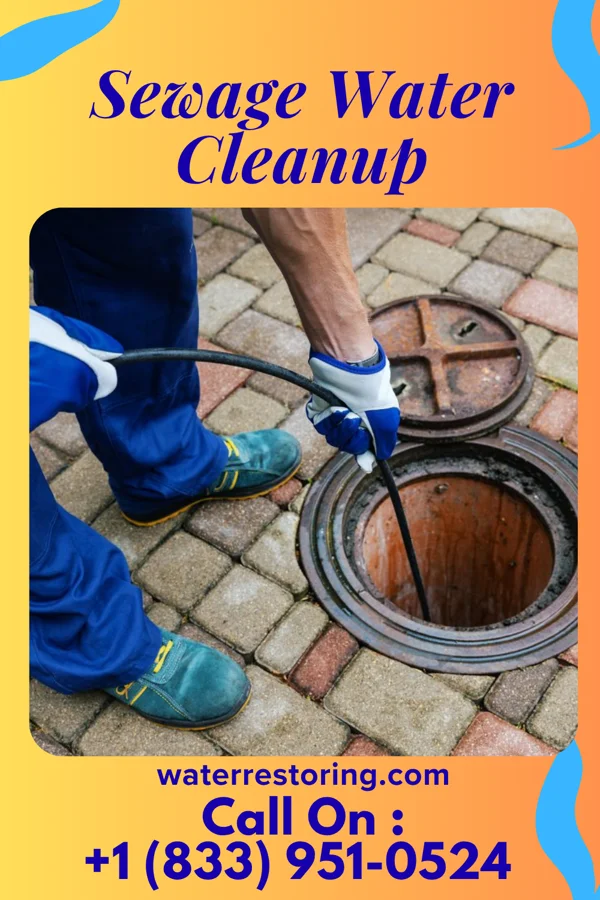 Sewage Water Cleanup in Lansford, PA